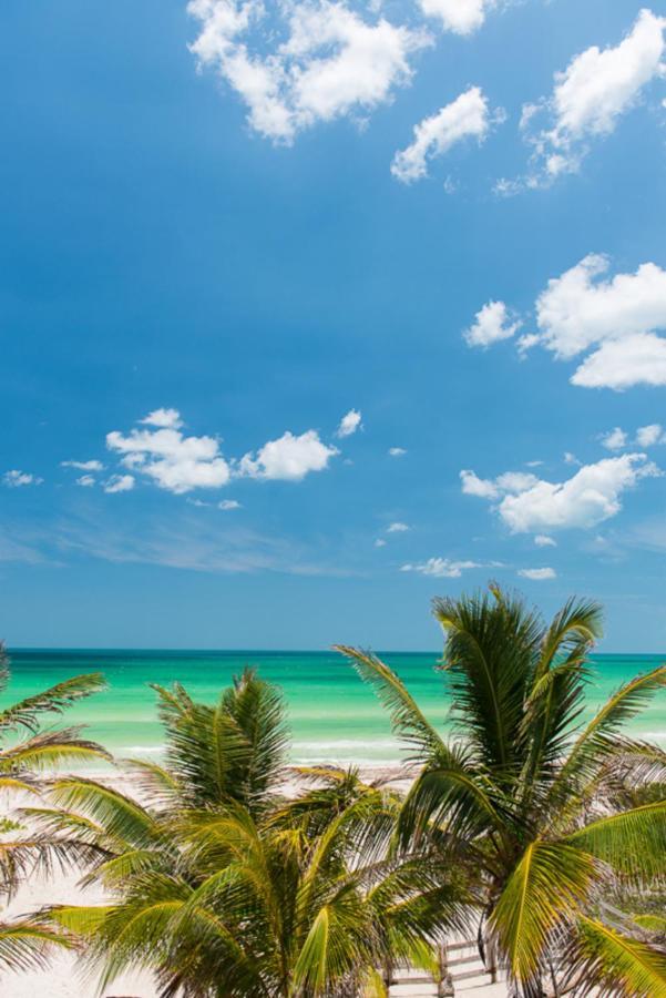 Beachfront Apartment Hacienda Dאל קויו מראה חיצוני תמונה